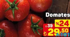 DOMATES KG indirimli fiyat DOMATES KG fiyat ve kampanya bilgisi